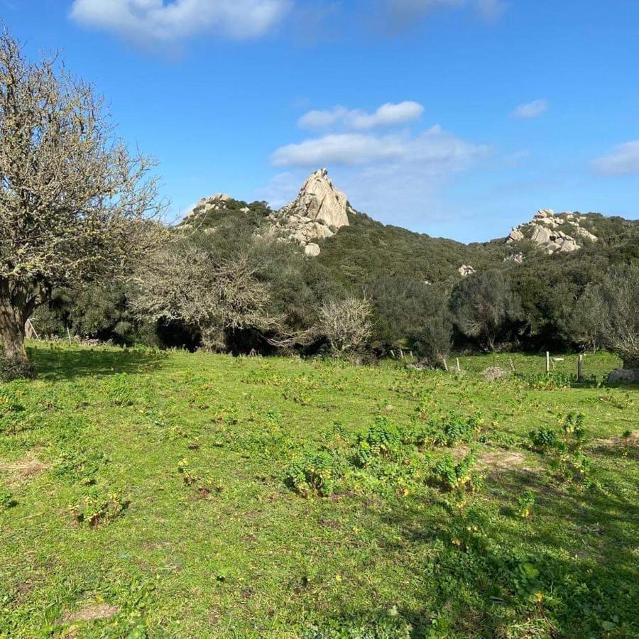 Villa Casa Maltinu Santa Teresa di Gallura Esterno foto