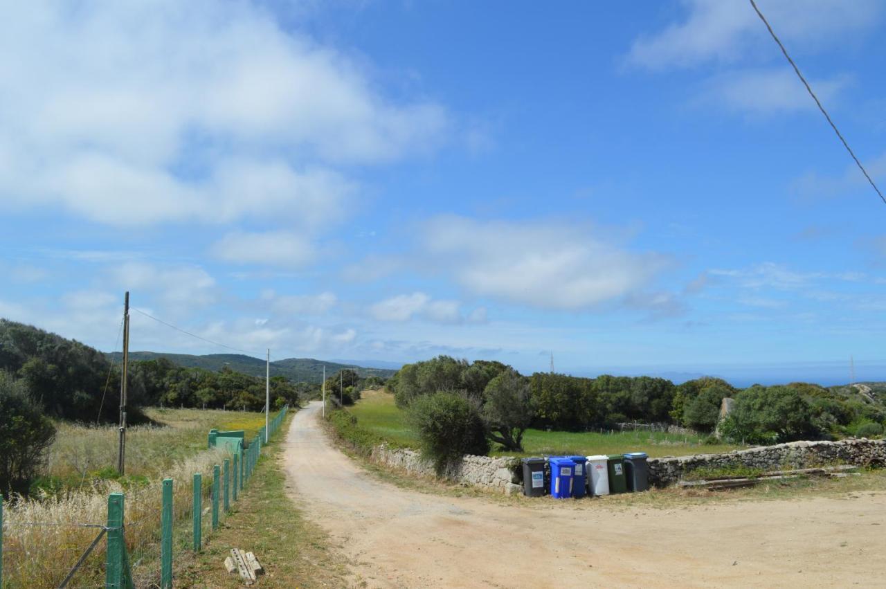 Villa Casa Maltinu Santa Teresa di Gallura Esterno foto