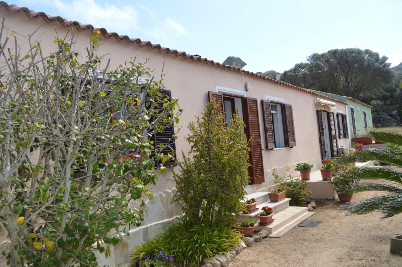 Villa Casa Maltinu Santa Teresa di Gallura Esterno foto