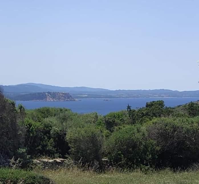 Villa Casa Maltinu Santa Teresa di Gallura Esterno foto