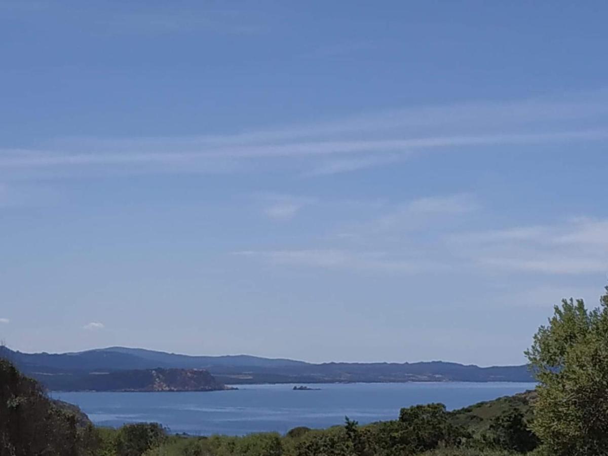 Villa Casa Maltinu Santa Teresa di Gallura Esterno foto